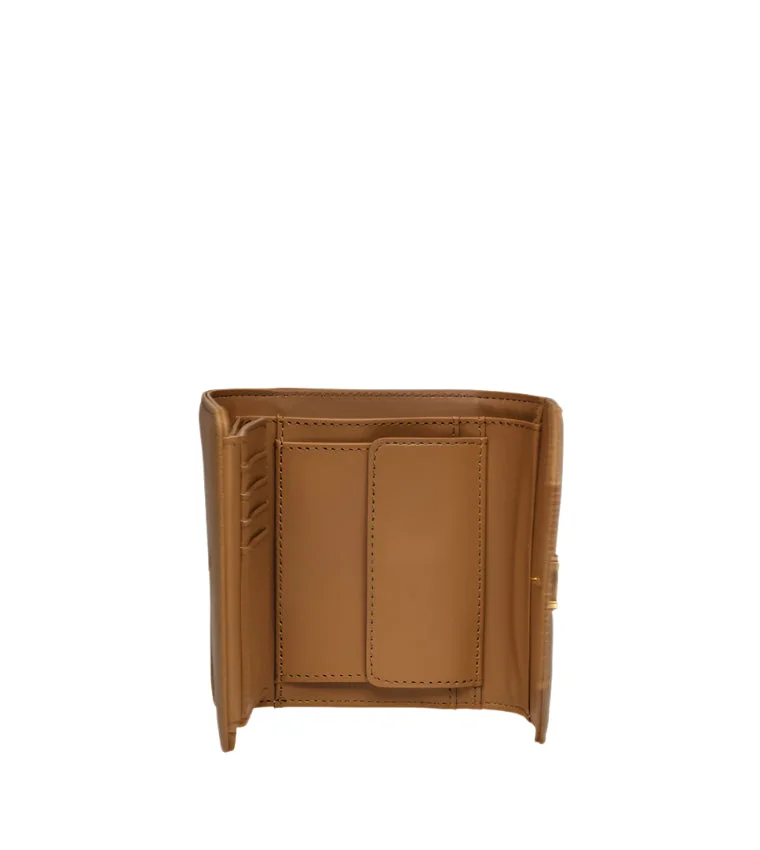 STEVE MADDEN CAMEL Steve madden tabi women's multicolor wallet wallets for Women | Best Price UAE